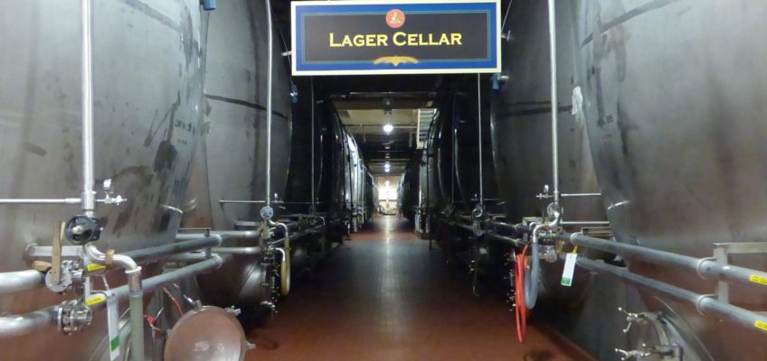 Budweiser_Brewery_lager_cellar